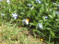 BILD9273.webp