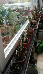 20180426_102229-1.jpg