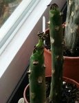 20180426_102229-1-1-2.jpg