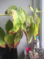 IMAGE 2018-04-26 16:43:06.webp