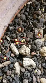 2018-04-26 11.51.45.webp