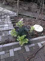 IMG_20180404_101618.webp