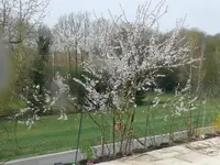 P1120884.webp
