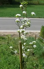 k-P1120956.webp