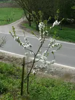 k-P1120961.JPG