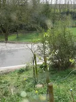 k-P1120930.webp