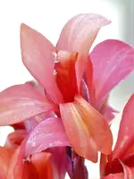 image001.webp