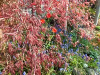 DSCF0917 (2).webp