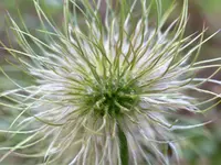 image001.webp