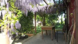 20180424_170041.webp