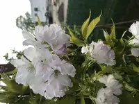 928AC13E-02B0-4729-AF51-F2F6F31EE0AA.webp