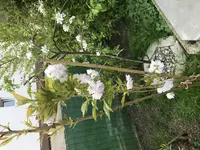 15CA3D52-9138-48AB-B6C1-997A2489C7E5.webp