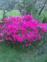 IMG_20180427_182750.webp