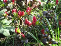IMG_6055.jpg