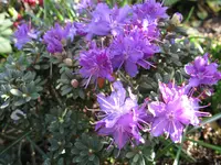 IMG_6054.webp