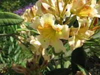IMG_6053.webp