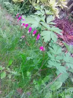 IMG_20180427_183001.webp