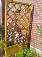 IMG_20180427_182804.webp