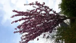 20180427_184105.webp