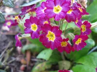 IMG_6057.webp