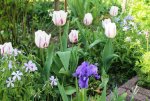 Gartenzeit 3.jpg