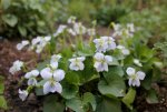 Gartenzeit 8.jpg