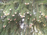 BILD9212.webp