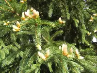 BILD9293.webp