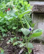 3C.webp