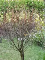 20180419_095559.webp