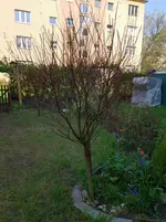 20180419_095640.webp