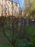 20180419_095655.webp