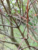20180419_095716.webp