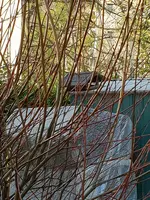 20180419_095736.webp