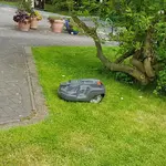 20180428_163336.webp