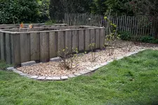 IMGP2289.webp