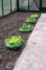 IMGP2292.webp