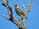 IMG_7510.jpg