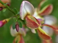 image002.webp
