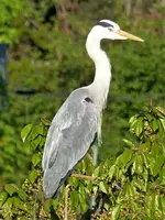 image004.webp