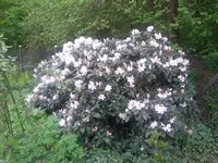 20180427_174219.jpg