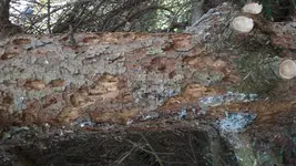 20180415_105521.webp 20180415_105521.webp