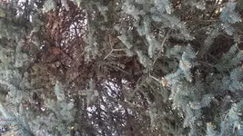 15249968168961827423823.webp 15249968168961827423823.webp