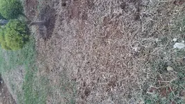 20180423_185349.webp
