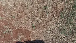 20180429_140022.webp