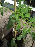 IMG_20180429_132709.webp