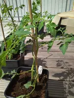 IMG_20180429_132714.webp