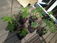 IMG_20180429_131834.webp