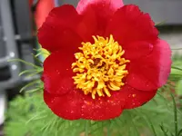 008_1024x768.JPG
