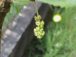 DSC02508.JPG